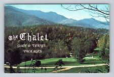 Little Switzerland NC-North Carolina, The Chalet Resort, Vintage Postcard picture