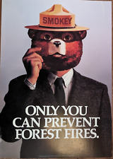 Smokey The Bear Only You Can Prevent Forest Fires - Department of Agriculture picture