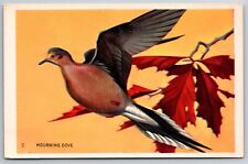 Mourning Dove 1939 National Wildlife Federation Postcard picture