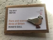 RSPB Interest ROSS’S GULL enamel BIRD pin badge Bird 🇬🇧 Design Rare & Scarce picture