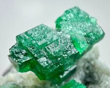Well Terminated Top Green Emerald Crystals On Matrix. PAK 60 CT. picture