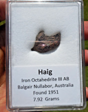 SUPER RARE  7.92 gram - HAIG METEORITE - IIIAB IRON -  1951 Austrailia Find picture