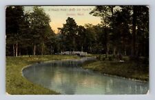 Detroit MI-Michigan, A Shady Nook, Belle Isle Park, Antique, Vintage Postcard picture