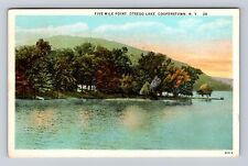 Cooperstown NY-New York, Five Mile Point, Otsego Lake, Vintage Souvenir Postcard picture