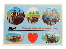 You've Got a Friend in Lancaster County Pennsylvania Amish Country Postcard picture