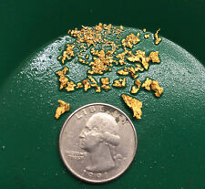 20 lb Gold Paydirt Unsearched and Gold Added Panning Flake Nugget picture