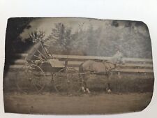 Antique Horse, Buggy Tintype Man With Lap Blanket Big Wheeled  C1880s 3 3/4x2.5 picture