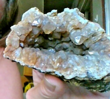 crystalized petrified wood from Oregon picture