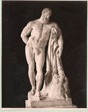 G. Sommer, Italy, Museum of Naples. Ercole Farnese Vintage Albumen Print. Italy picture