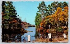 Bryant Pond Maine~Mill Cove @ Lake Christopher~Vintage Postcard picture