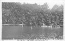 Chester Springs, Pa, Camp Cayuga, THE LOW DIVE - 1925 Antique Postcard picture