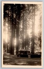 RPPC Postcard Redwood Highway Cabin Porch CA California Postcard - C13 picture