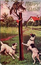 C.1910s Hunting Dogs Chase Angry Cat Up Tree HAPPY DAYS Humor UNP Postcard 819 picture