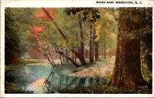 Postcard Scene Near Amityville L I Brooklyn NY 1922 picture