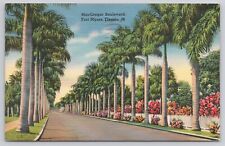 Fort Myers Florida FL - MacGregor Boulevard Palm Trees 1939 Linen Postcard picture