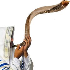 Shofar Kudu Horn Instrument M 28