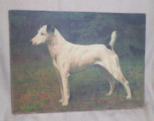 Smooth Fox Terrier Art Reproduction Portrait 10 1/4 x 14 inch no frame picture
