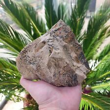 A  huge stone from  Sinai mountain with A burning bush  picture