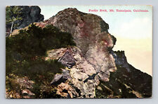 c1915 DB Mt Tamalpais CA Profile Rock PNC Postcard  picture