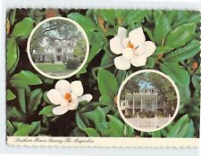 Postcard Southern Homes Along The Magnolias, the South picture