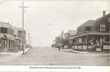 Temple Avenue Looking toward Sea Ocean Park Maine Divided Postcard c1910s picture