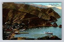 Avalon CA-California, Avalon Main View from Park, Vintage Postcard picture