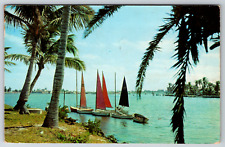 c1960s Sailboats Bahia Mar Yacht Basin Fort Lauderdale Florida Vintage Postcard picture