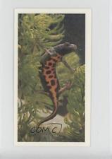 1984 Grandee Britain's Endangered Wildlife Great Crested Newt #11 a8x picture
