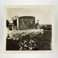 Mountview Cemetery Billings Montana Photo 1930s Landgren Grave Snapshot A4211 picture