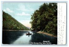 c1905 Elmira NY, The Chemung River Below Rorick's Canoeing Antique Postcard picture