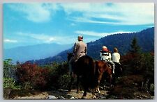 Horseback Riders Great Smoky Mountains National Park Forest Horse VTG Postcard picture