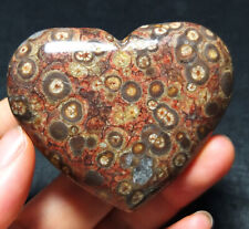 TOP 54G Natural Polished Sparrow Agate Heart Eye Agate Crystal Heart Gift BB105 picture