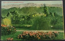 California Flowers and Snow Scenic View Vintage Postcard Unposted picture