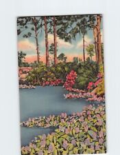Postcard A Hyacinth Pool, Florida picture