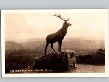 c1940 Elks Memorial Mohawk Trail Whitcomb Summit Massachusetts MA RPPC Postcard picture