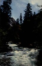 Merced River rapids Yosemite Valley California ~ 1950-60s vintage postcard picture