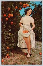 Florida Beauties Pretty Woman Holding Oranges in Dress Vintage Postcard picture