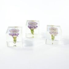 3 Carnation Specimen Cube Paper Weights  #3122 picture
