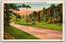 One Good Road Rogersville Tennessee Vintage Postcard picture
