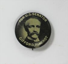 1914 Gifford PInchot US Senator American Forest Conservative PA Pin Button 3/4