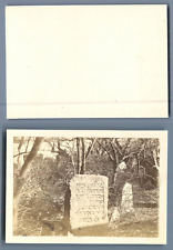 Old Jewish Cemetery Vintage CDV Albumen.    Circ 6.5x10 Albumin Print picture