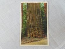 Postcard CA GIANT REDWOOD Highway California R-46 1941 Grants Pass OR Postmark picture