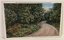 Postcard Picturesque Roadway in the Heart of the Mountains Scenic View c1937 picture