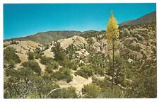 Antelope Valley California c1960's Devil's Punchbowl, Yucca in bloom, desert picture