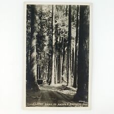 Mount Rainier Park Road RPPC Postcard 1920s Washington State Forest Trees D1538 picture