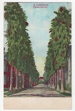 A California Palm Drive Vintage Postcard 5.5 x 3.5 picture