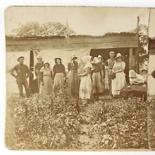 Unknown Mystery Farmer Group Stereoview c1890 Men & Women Workers Portrait B1956 picture