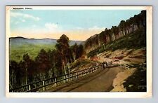 North Adams MA-Massachusetts, The Mohawk Trail, Antique, Vintage Postcard picture