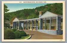 New Riverside Hotel Gatlinburg TN-Tennessee Vintage Linen Postcard picture