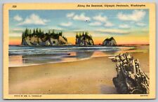 Vintage Linen Postcard - Olympic Peninsula Washington - Posted 1949 picture
